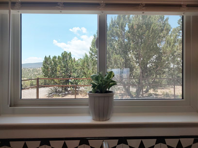 Kitchen window