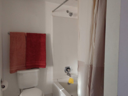 bath 2 tub