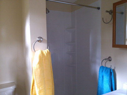 Master bath shower