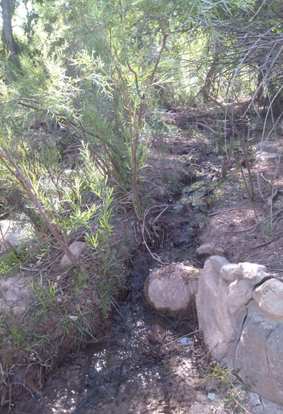 creek